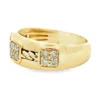 Diamond Cluster Men’s Band