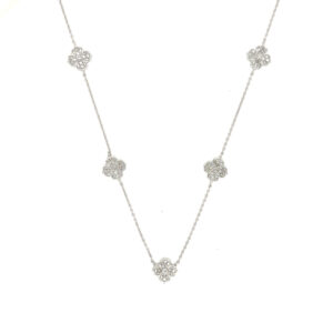 NK01697-W