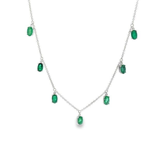NK02555-W