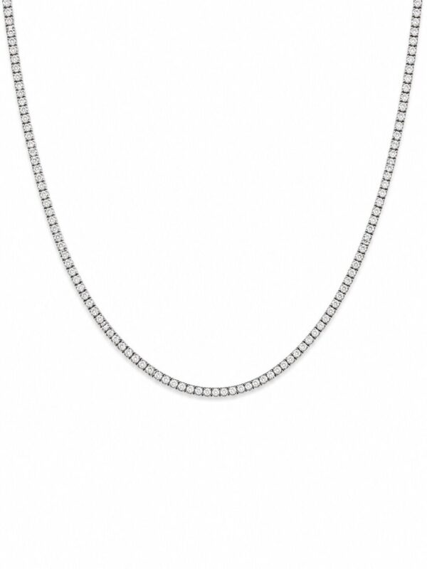 NK02878-W