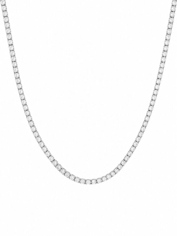 NK02899-W