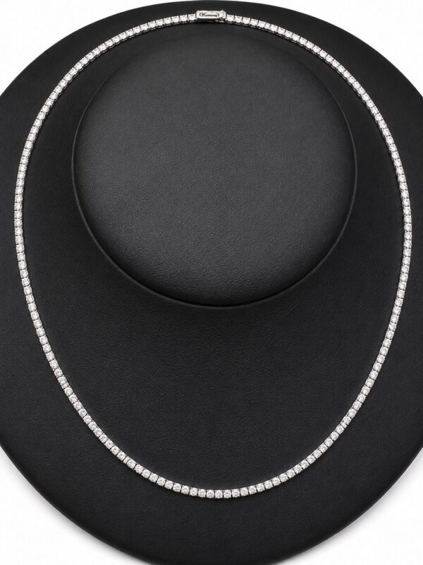 NK02899-W