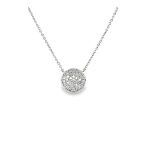 PN15591-W