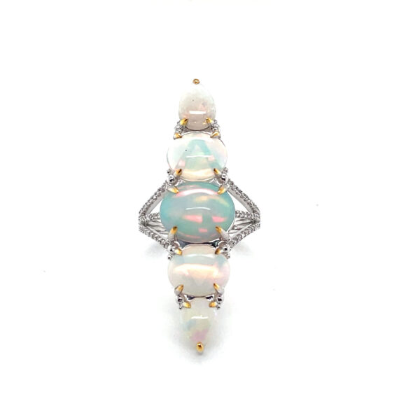 RN31742-W