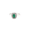 RN31784-W