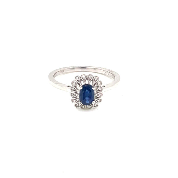 RN31789-W