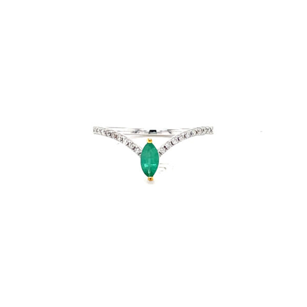 RN31792-W