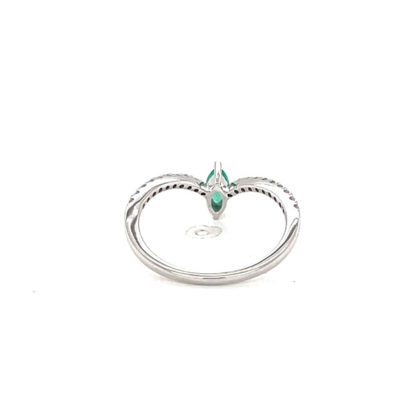 RN31792-W
