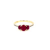 RN31796-Y