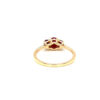 RN31796-Y