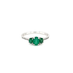 RN31799-W