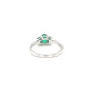 RN31799-W