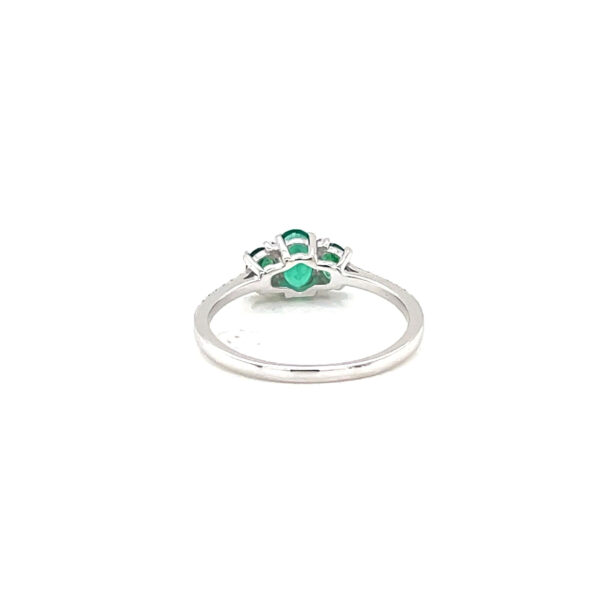 RN31799-W
