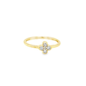 RN32417-Y