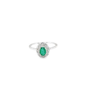 RN32533-W