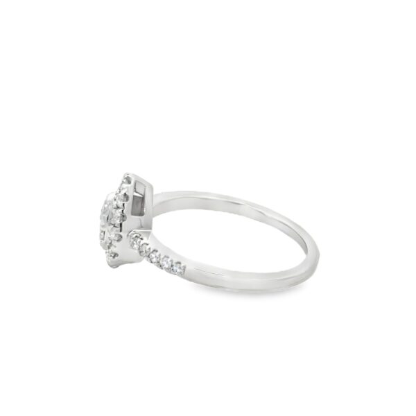 RN33663-W