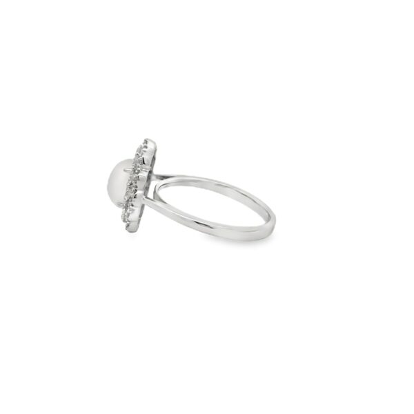 RN35029-W