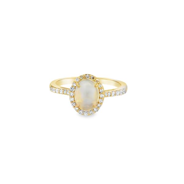 RN35043-Y