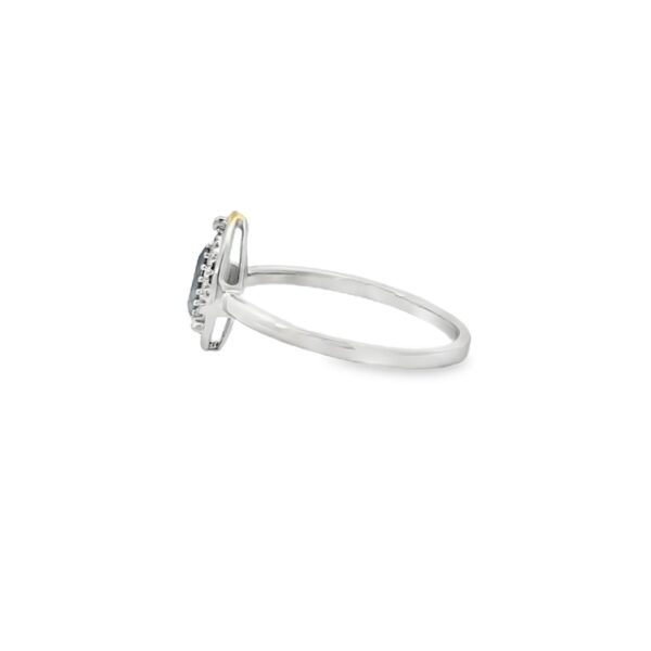 RN35068-W