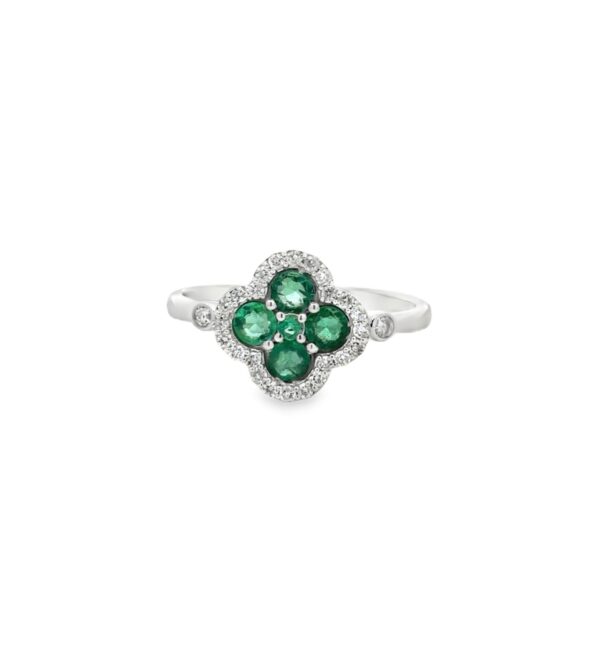 RN35181-W