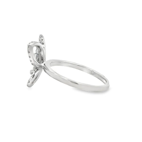 RN35246-W