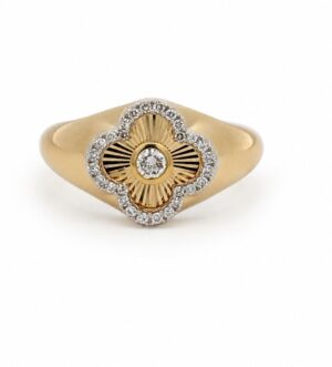 RN35863-Y